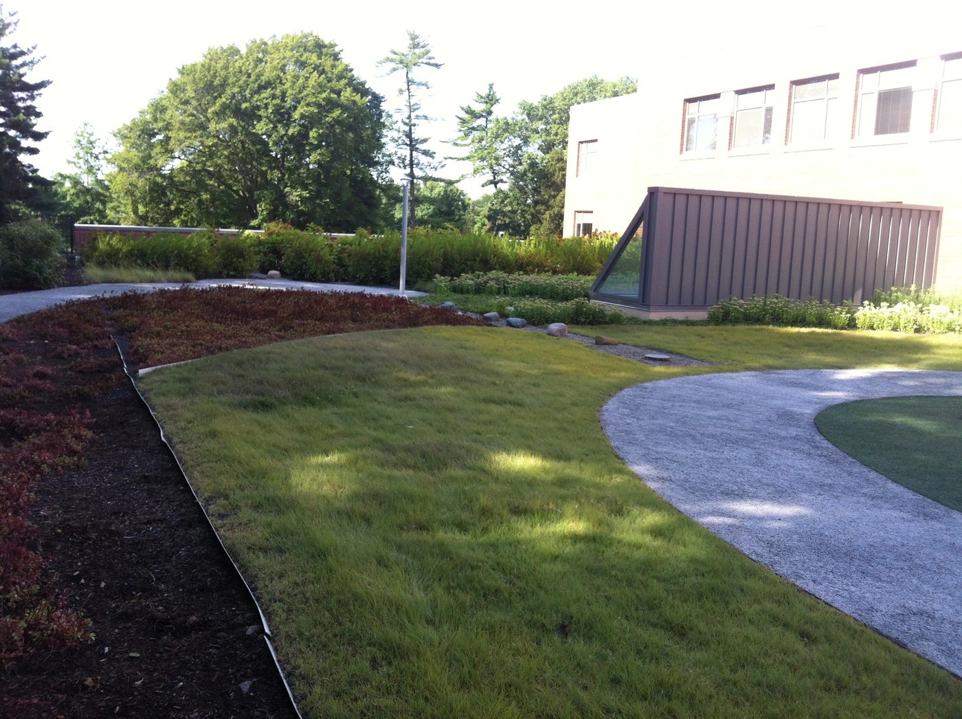 Picture of Vegetated